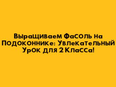 Выращиваем Фасоль на Подоконнике: Увлекательный Урок для 2 Класса!