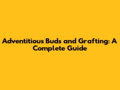 Adventitious Buds and Grafting: A Complete Guide