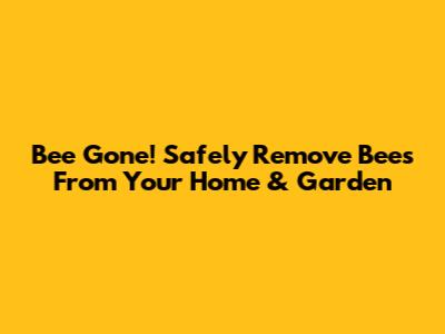 Bee Gone! Safely Remove Bees From Your Home & Garden