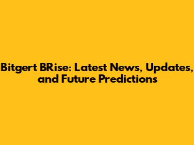 Bitgert BRise: Latest News, Updates, and Future Predictions