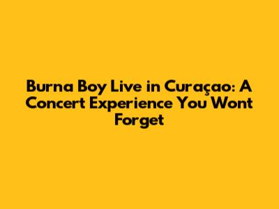 Burna Boy Live in Curaçao: A Concert Experience You Won't Forget