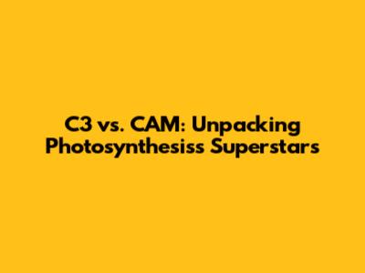 C3 vs. CAM: Unpacking Photosynthesis's Superstars