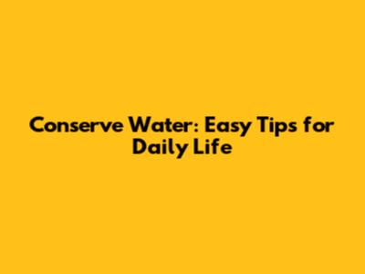 Conserve Water: Easy Tips for Daily Life