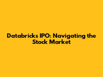 Databricks IPO: Navigating the Stock Market
