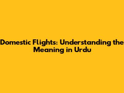 Domestic Flights: Understanding the Meaning in Urdu