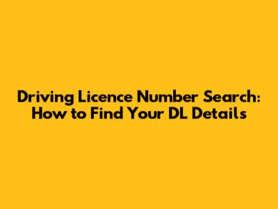 Driving Licence Number Search: How to Find Your DL Details