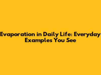 Evaporation in Daily Life: Everyday Examples You See
