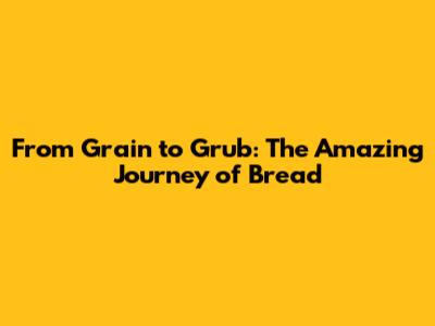 From Grain to Grub: The Amazing Journey of Bread