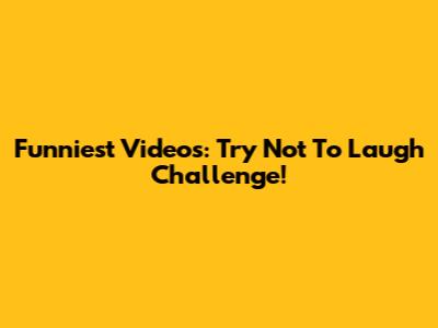 Funniest Videos: Try Not To Laugh Challenge!