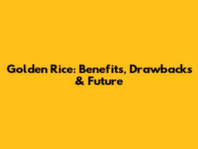 Golden Rice: Benefits, Drawbacks & Future