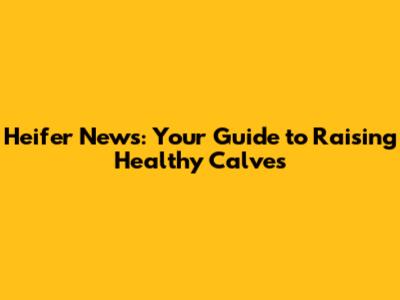 Heifer News: Your Guide to Raising Healthy Calves