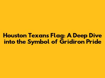 Houston Texans Flag: A Deep Dive into the Symbol of Gridiron Pride