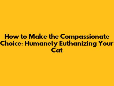 How to Make the Compassionate Choice: Humanely Euthanizing Your Cat