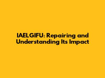 IAELGIFU: Repairing and Understanding Its Impact