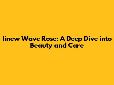Iinew Wave Rose: A Deep Dive into Beauty and Care