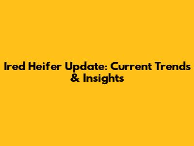 Ired Heifer Update: Current Trends & Insights
