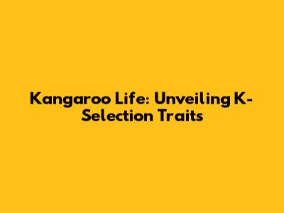Kangaroo Life: Unveiling K-Selection Traits