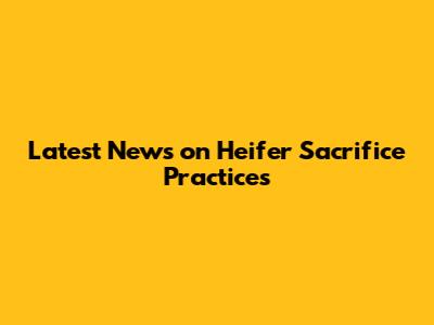 Latest News on Heifer Sacrifice Practices
