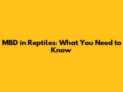 MBD in Reptiles: What You Need to Know