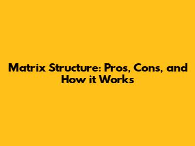 Matrix Structure: Pros, Cons, and How it Works