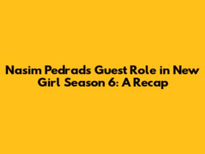 Nasim Pedrad's Guest Role in New Girl Season 6: A Recap