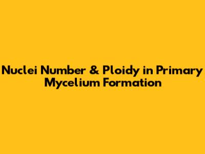 Nuclei Number & Ploidy in Primary Mycelium Formation