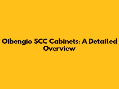 Oibengio SCC Cabinets: A Detailed Overview
