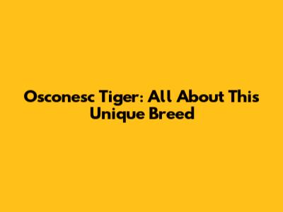 Osconesc Tiger: All About This Unique Breed