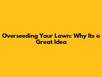 Overseeding Your Lawn: Why It's a Great Idea