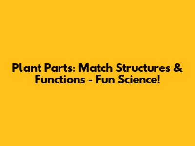 Plant Parts: Match Structures & Functions - Fun Science!
