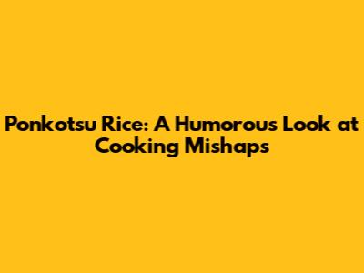 Ponkotsu Rice: A Humorous Look at Cooking Mishaps