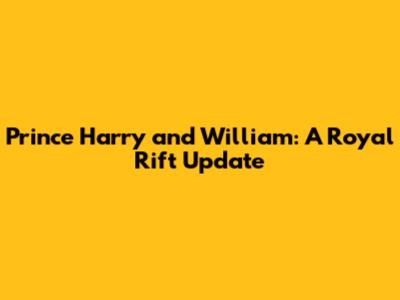 Prince Harry and William: A Royal Rift Update