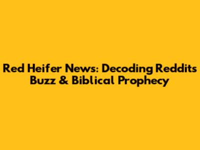 Red Heifer News: Decoding Reddit's Buzz & Biblical Prophecy