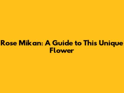 Rose Mikan: A Guide to This Unique Flower