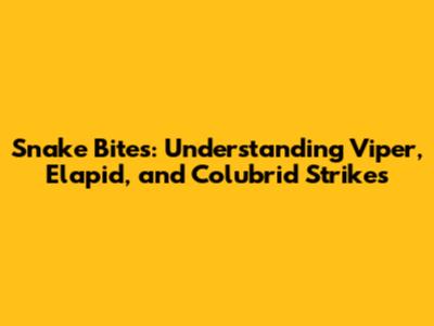 Snake Bites: Understanding Viper, Elapid, and Colubrid Strikes
