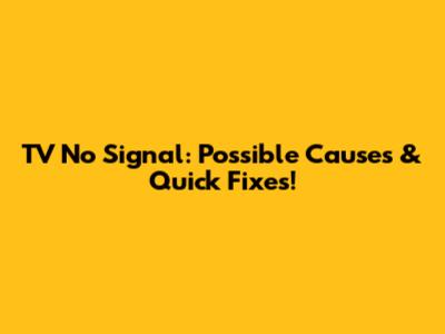 TV No Signal: Possible Causes & Quick Fixes!