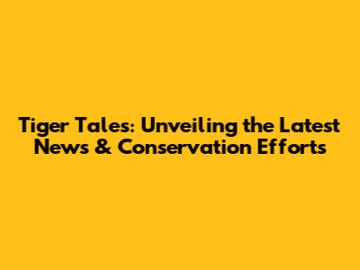 Tiger Tales: Unveiling the Latest News & Conservation Efforts