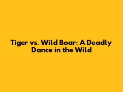 Tiger vs. Wild Boar: A Deadly Dance in the Wild