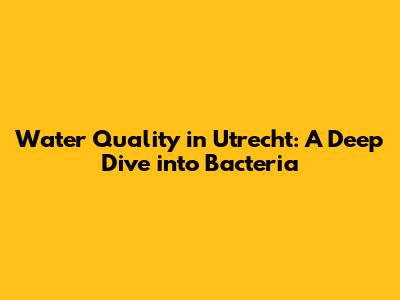 Water Quality in Utrecht: A Deep Dive into Bacteria