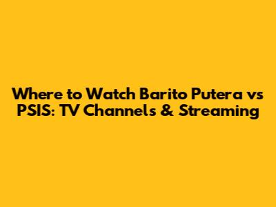 Where to Watch Barito Putera vs PSIS: TV Channels & Streaming